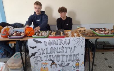 Učenici 3. b razreda, dobrotvornom Haloween akcijom prikupili €192,51 za napuštene životinje!