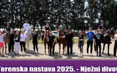 Videoprojekt TV skupine „Nježni divovi“