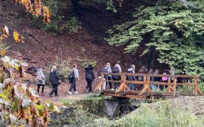 Izvanučionička nastava učenika prvih razreda u park-šumi Jankovac