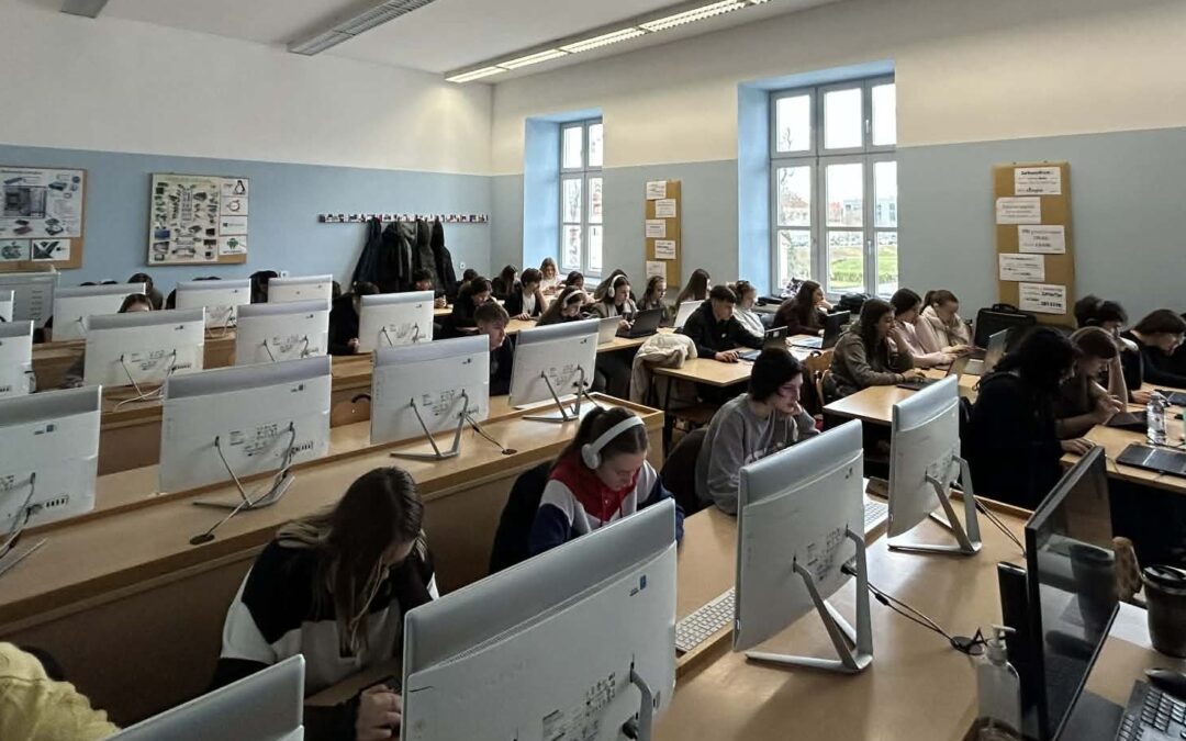 Best in English 2025