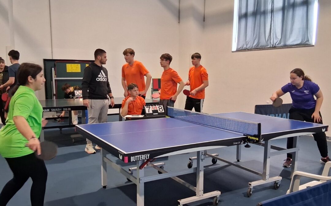 Županijsko natjecanje srednjih škola u stolnom tenisu